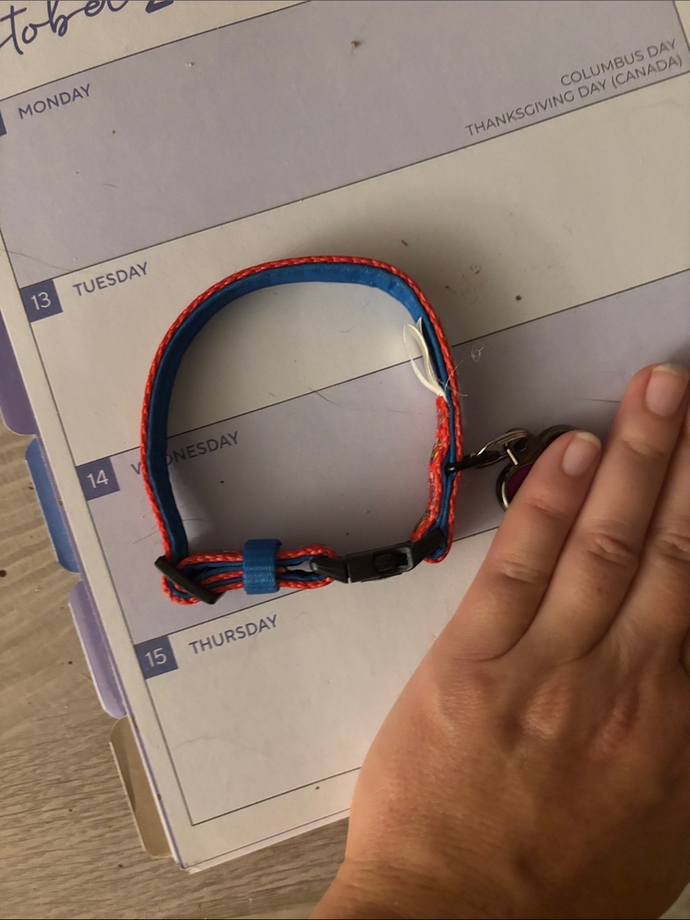 Adjustable Blue and Red Pet Collar